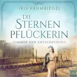 Iris Krumbiegel: Sommer der Entscheidung: Die Sternenpflückerin 3