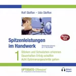Rolf Steffen, Udo Steffen: Spitzenleistungen im Handwerk: UPTODATE-Offensive Handwerk