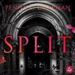 Penny L. Chapman: Split: Unfolding 4.5 / Rebels of St. Cilline 2