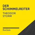 Theodor Storm: Storm.Der Schimmelreiter: Reclam Hörbuch