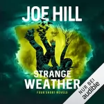 Joe Hill: Strange Weather: Vier Novellen