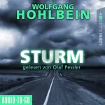Wolfgang Hohlbein: Sturm: 