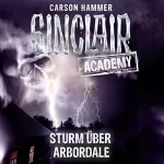 Carson Hammer: Sturm über Arbordale: Sinclair Academy 4