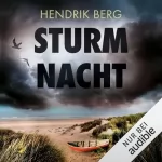 Hendrik Berg: Sturmnacht: Ein Fall für Theo Krumme 10