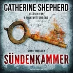 Catherine Shepherd: Sündenkammer: Zons-Thriller 9