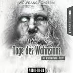 Wolfgang Hohlbein: Tage des Wahnsinns: Der Hexer von Salem 4