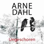 Arne Dahl: Ungeschoren: A-Team 6