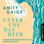 Amity Gaige: Unter uns das Meer: 