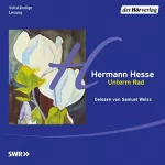 Hermann Hesse: Unterm Rad: 