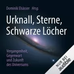Dominik Elsässer: Urknall, Sterne, Schwarze Löcher: Vergangenheit, Gegenwart und Zukunft des Universums