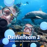 Katja Brandis: Verschollen im Bermuda-Dreieck: DelfinTeam 2
