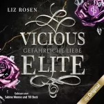Liz Rosen: Vicious Elite: Gefährliche Liebe: Blackbury Academy 3