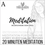 Christiane M. Heyn: Waldspaziergang gegen Stress - Meditation A - 20 Minuten Meditation: 20 Minuten Meditation für die Erholung in der Pause