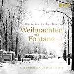 Theodor Fontane: Weihnachten mit Fontane: Geschichten und Gedichte