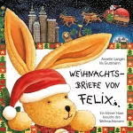 Iris Gruttmann: Weihnachtsbriefe von Felix: Ein kleiner Hase besucht den Weihnachtsmann