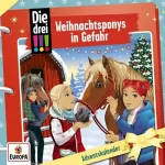 Ann-Katrin Heger: Weihnachtsponys in Gefahr. Adventskalender: Die drei !!!