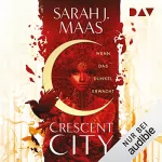 Sarah J. Maas: Wenn das Dunkel erwacht: Crescent City 1