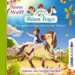 Anne Wolff: Wer packt hier das Glück bei der Mähne?: Die Schule der kleinen Ponys 3