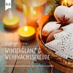 Monika Büchel: Winterglanz und Weihnachtsfreude: Weihnachtsgeschichten, die zu Herzen gehen