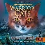 Erin Hunter, Friederike Levin - Übersetzer: Wütender Sturm: Warrior Cats - Vision von Schatten 6