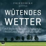 Friederike Otto: Wütendes Wetter: Auf der Suche nach den Schuldigen für Hitzewellen, Hochwasser und Stürme