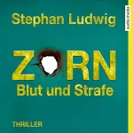 Stephan Ludwig: Zorn - Blut und Strafe: Zorn 8