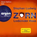 Stephan Ludwig: Zorn - Lodernder Hass: Zorn 7