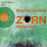 Stephan Ludwig: Zorn - Opferlamm: Zorn 11