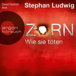 Stephan Ludwig: Zorn: Wie sie töten: Zorn 4
