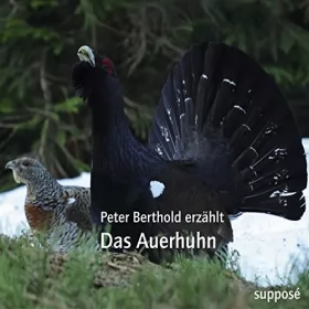 Peter Berthold, Klaus Sander: Das Auerhuhn: 