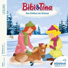 Stephan Gürtler: Das Fohlen im Schnee: Bibi und Tina - Hörbuch