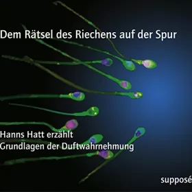 Hanns Hatt, Klaus Sander: Dem Rätsel des Riechens auf der Spur: Grundlagen der Duftwahrnehmung