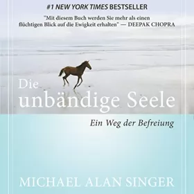 Michael Alan Singer: Die unbändige Seele: Ein Weg der Befreiung
