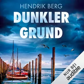 Hendrik Berg: Dunkler Grund: Ein Fall für Theo Krumme 7