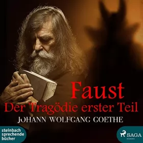 Johann Wolfgang von Goethe: Faust - Der Tragödie erster Teil: 