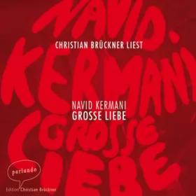 Navid Kermani: Große Liebe: 