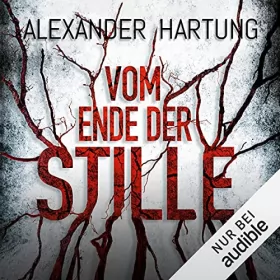 Alexander Hartung: Vom Ende der Stille: Nik Pohl 4