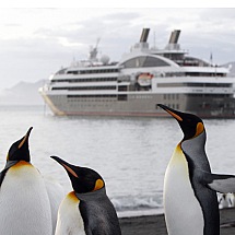 Antarktis Kreuzfahrten - zwischen wilder Schönheit und unendlicher Weite